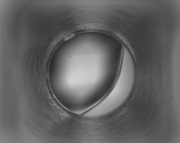X0000081460673200701121042