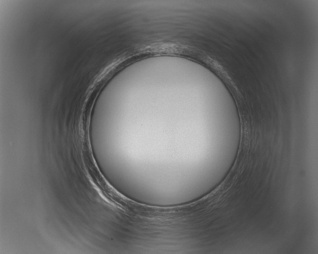 X0000081460674200701121042