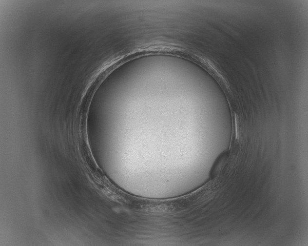 X0000081460675200701121042