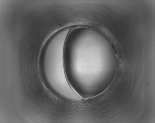 X0000081460676200701121042