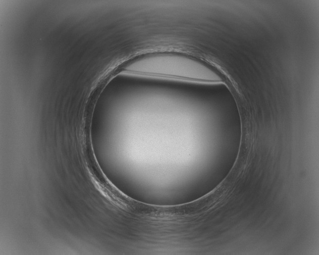 X0000081460677200701121042