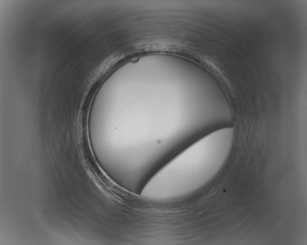X0000081460678200701121042