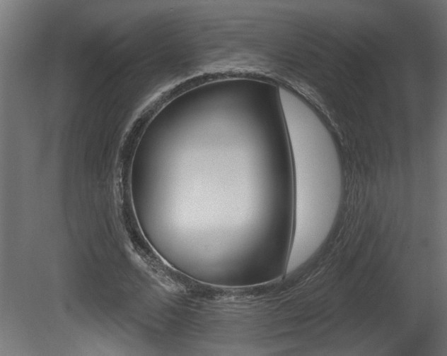 X0000081460680200701121042