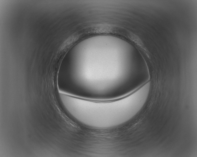 X0000081460681200701121042