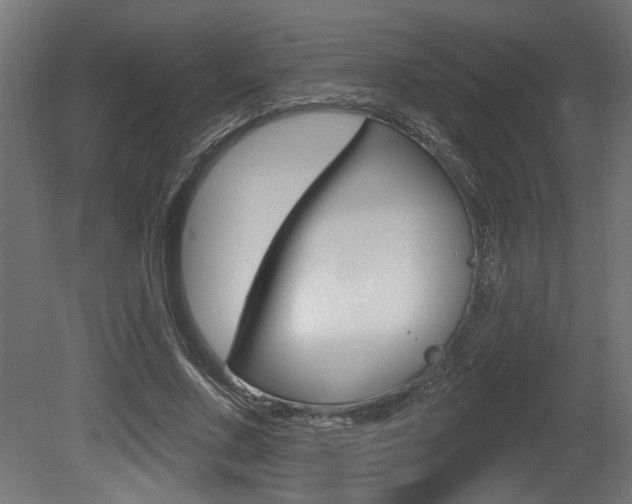 X0000081460683200701121042