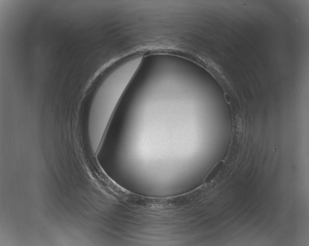 X0000081460684200701121042