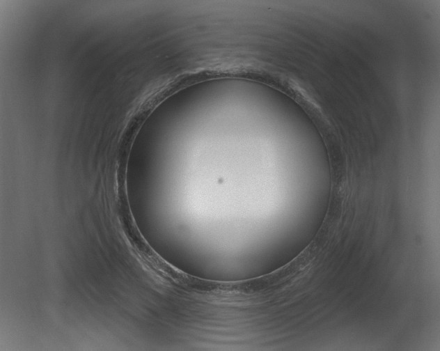 X0000081460685200701121042