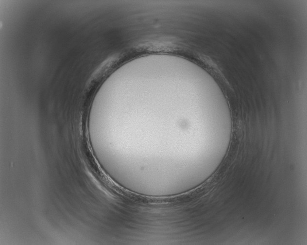 X0000081460686200701121042