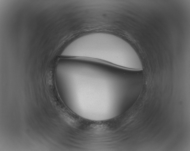 X0000081460689200701121042