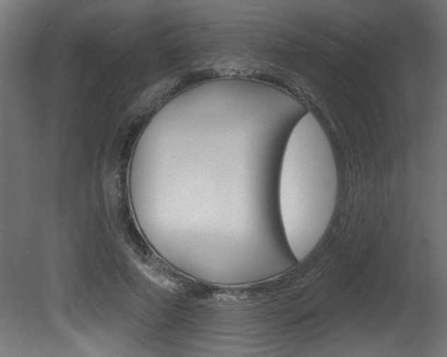 X0000081460690200701121042