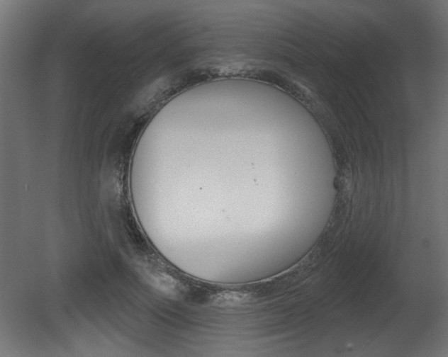X0000081460691200701121042