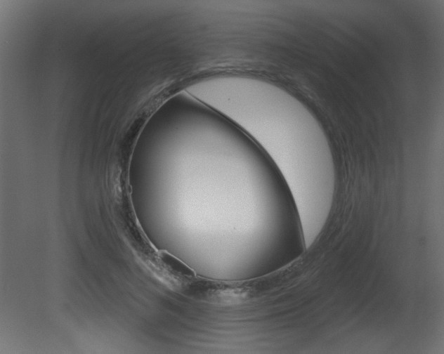 X0000081460692200701121042