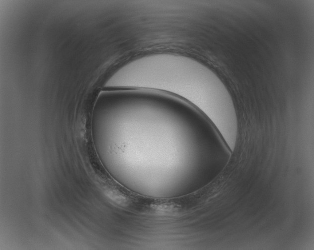 X0000081460693200701121042