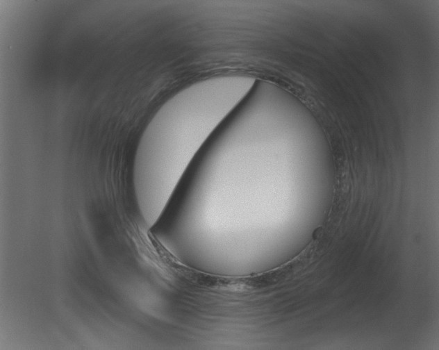 X0000081460695200701121042