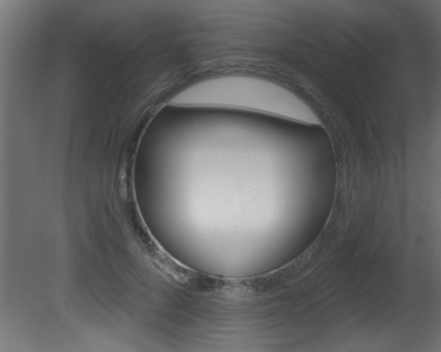 X0000081460696200701121042