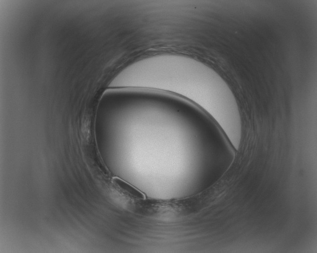 X0000081460697200701121042