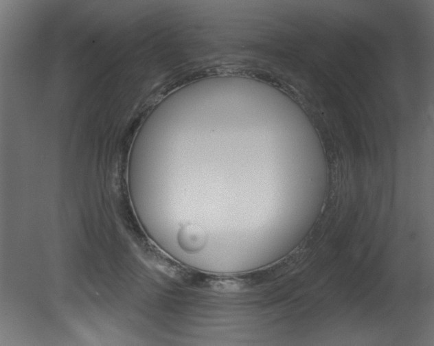 X0000081460698200701121042