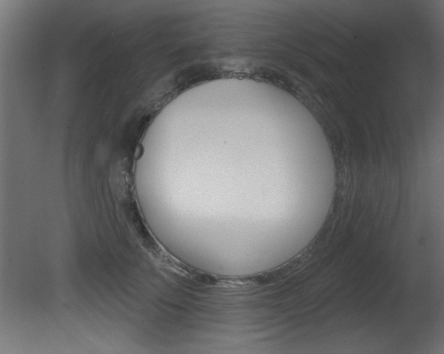 X0000081460707200701121041