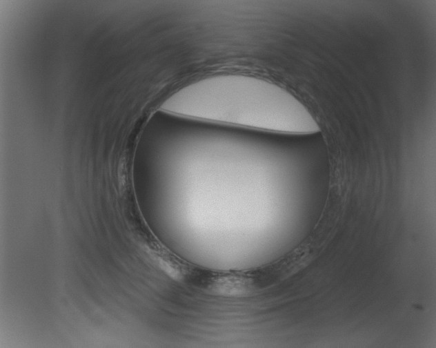 X0000081460708200701121041