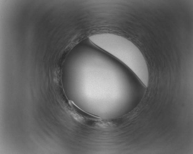 X0000081460712200701121041