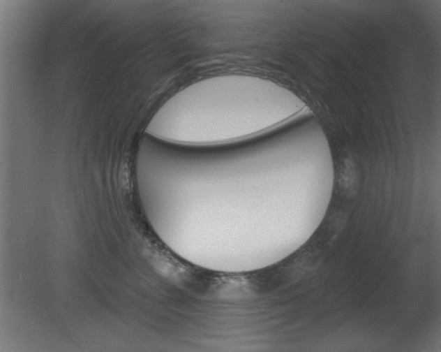 X0000081460715200701121041