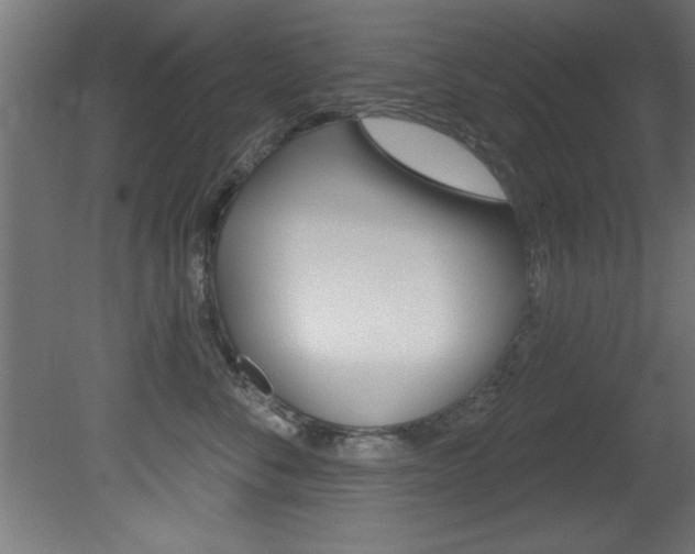 X0000081460716200701121041