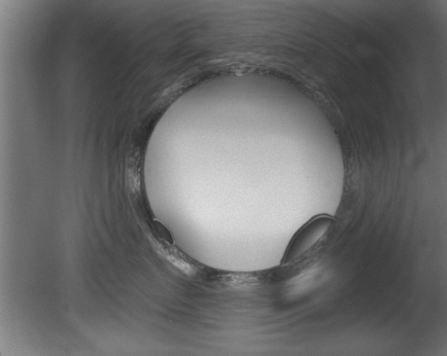 X0000081460719200701121041