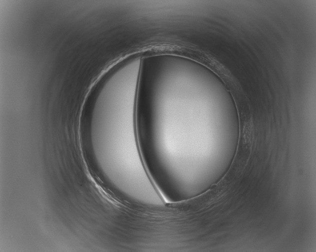 X0000081460722200701121040