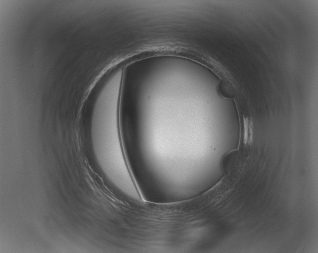 X0000081460723200701121040