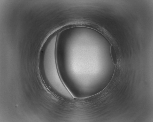 X0000081460724200701121040