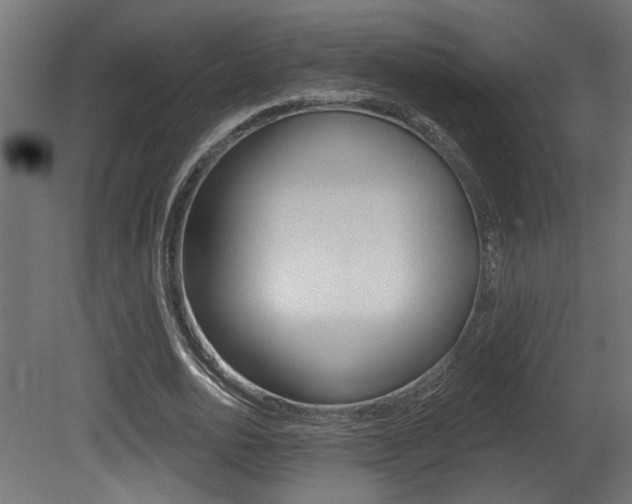 X0000081460726200701121041