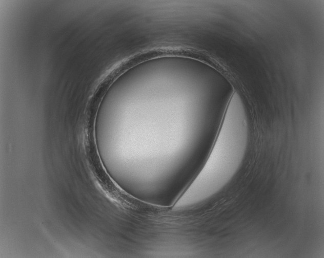 X0000081460728200701121041