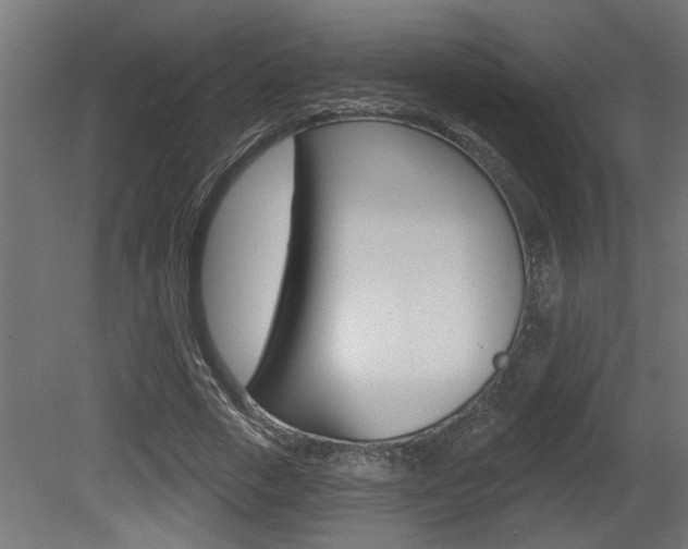 X0000081460729200701121041