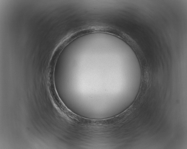 X0000081460730200701121041