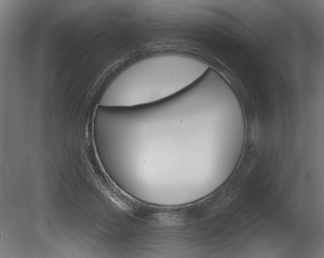 X0000081460733200701121041