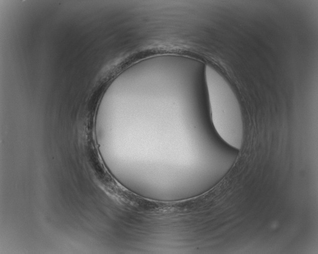 X0000081460736200701121041