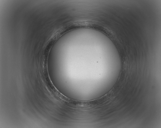 X0000081460739200701121041