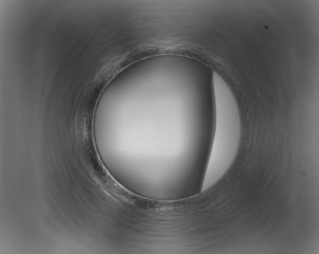 X0000081460740200701121041