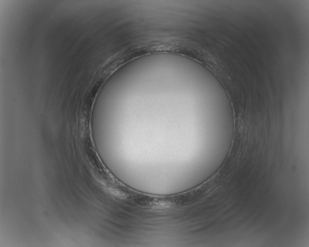 X0000081460741200701121041