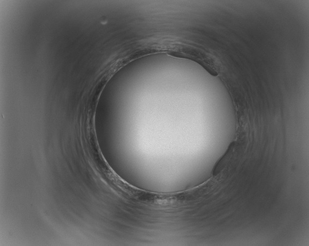 X0000081460744200701121041