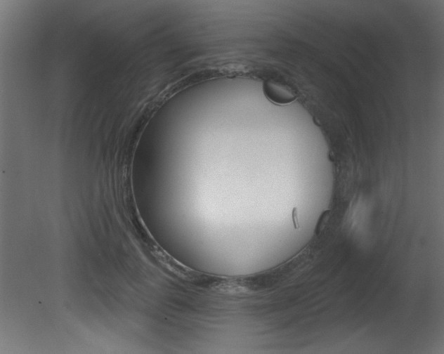 X0000081460747200701121041