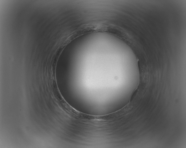 X0000081460748200701121041