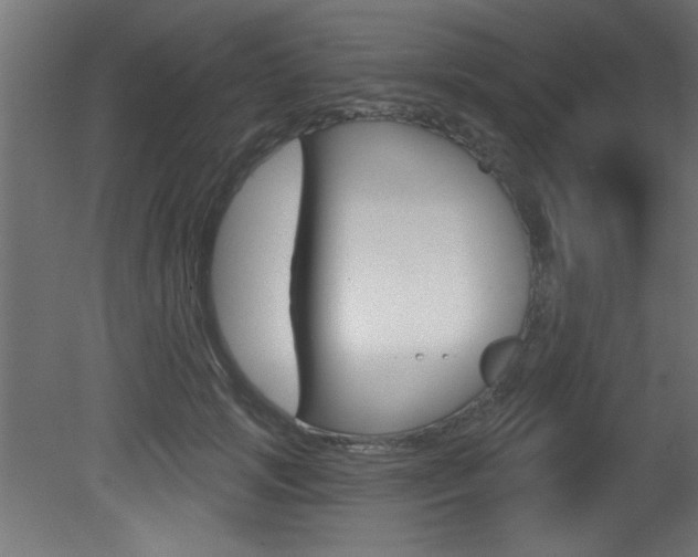 X0000081460749200701121041