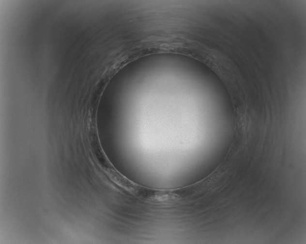 X0000081460752200701121041