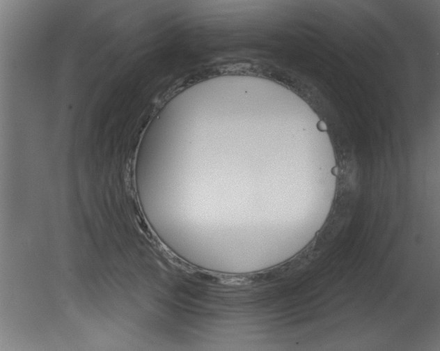 X0000081460753200701121041