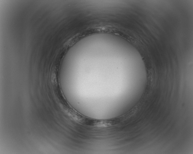 X0000081460754200701121041