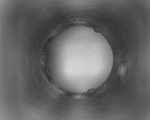 X0000081460755200701121041