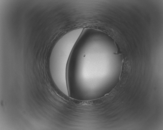 X0000081460756200701121041