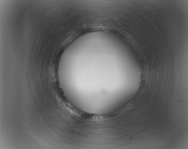 X0000081460764200701121041
