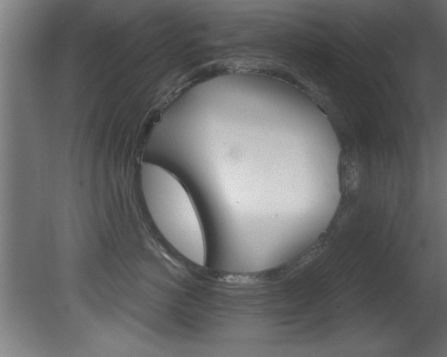 X0000081460766200701121041
